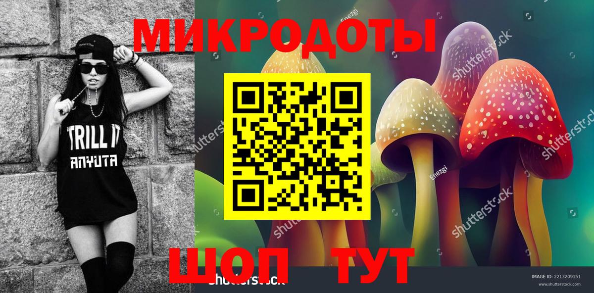 Котельники  Галлюциногенные грибы MAGIC MUSHROOMS  Вход с VPN 