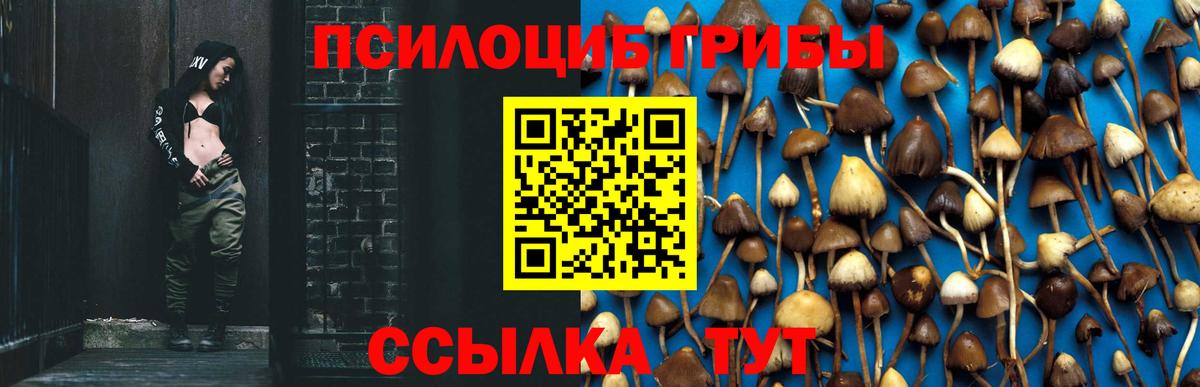 Галлюциногенные грибы Magic Shrooms Котельники